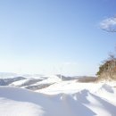 삼양목장 이미지