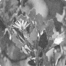 (주)스마트그린 이미지