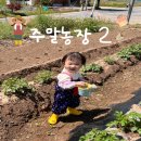 은별농장 이미지