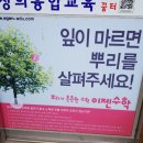 영산초등학교 앞 이미지