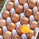 송가네시장파닭전문점 | EBS 극한직업 세종 조치원 통닭, 7000원 파닭의 경이로운 비밀!