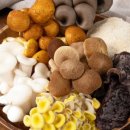 여울농장 이미지