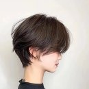 안경마스터(시흥목감점) | 시흥 목감 미용실 헤어라운드 여성숏컷 연습후기
