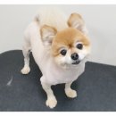 더바름동물병원 이미지