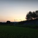 농업회사법인 (주)행복한농장 이미지