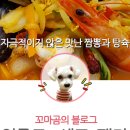 셰프팬더 이미지