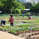 남동구 2 (주)미디어인천신문