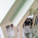 깨비하우스 이미지