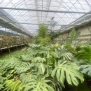 정남농장 이미지