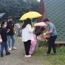 평창군 남산 무장애나눔길 조성 네이버블로그