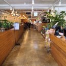 북극해고등어 이미지