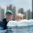 제이파크호텔 이미지