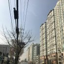 수원-1713 이미지