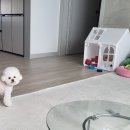 몽개구름 이미지