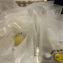 쥬씨성남점 | 2026년 2월 풍성한 겨울을 지나다