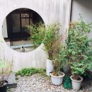 [日常] 삼선동 카페 더홈서울, 규현 커피 뮤비 촬영장소 덕질 대행 해드렸어요 ㅎㅎ