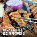 황칠나무참숯돼지생갈비 | 원주고기집 22년 명가, 추억을 건드리는 숯불갈비 한 판 조선돼지갈비