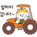 씨지위즈 이미지