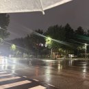 청리단길 굴포천역 혼술하기 좋은 칵테일바 더큐브🫧 내돈내산 후기