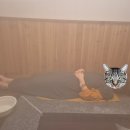 변산해수찜. 해수탕 이미지