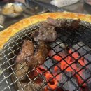 신마포갈매기 이미지