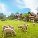 양떼가든 이미지