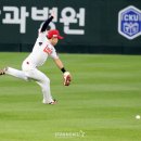 날아 스타뉴스