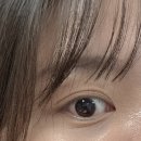 경기도 수원시 권선구 세지로112번길 25-1 (권선동) | 매교동속눈썹펌 &#34;레브로우&#34; 후기