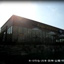 엔젤리너스 티스토리
