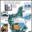 솔향기환경