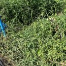 호기농장 이미지