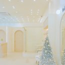 오늘도, 그루밍 이미지