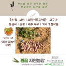 영종도농산물곶간꿩골자연농장 | [공지] 꿩골자연농장의 수확작물 한해를 마무리하며... 도라지.작두콩차.칡차 .보리차 전통차 . 결명자...