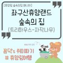 본욱농장 | 휴양랜드) 트리하우스 자작나무 : 신생 숲속의집 숙박후기, 좌구산휴양림 놀거리, 숲 속에서 힐링하기