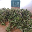 농부보따리 이미지