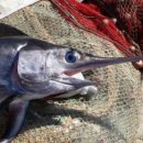 율하1로81번길 이미지