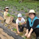 고천농장 이미지