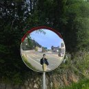 이춘봉인생치킨보성 이미지