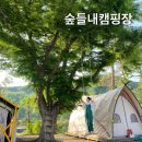 숲들내캠핑장 이미지