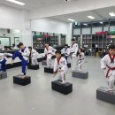 경희대 부부 다원태권도장 이미지