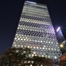 플레저성형외과의원 이미지