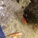 청량리 공부하기좋은 대형카페 &#39;1(2)한가로이&#39;