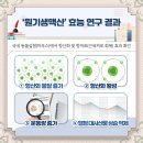 원기(元氣)