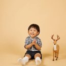 로이레스튜디오 이미지