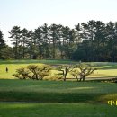 제주오라투어 | 제주도 골프 추천 공항에서 20분 1박 2일 일정에 딱 맞는 제주 오라CC 예약 후기