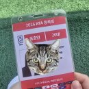 준코-제주 | 홍콩여행 후기 올리기 전에 일상정리 좀 해볼게