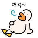 정원오리더덕 네이버블로그