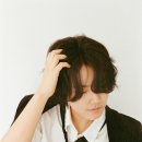 일레인