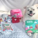 펫배요 네이버블로그