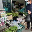 역전농약사 이미지